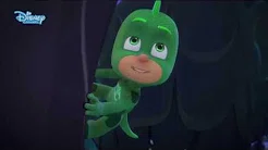 A lebegő gekkó, Connor és a szuper macskabringa