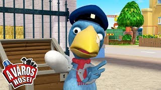 A város hősei – A kerti tolvaj