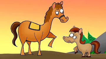 Állatok kicsinyei – Kerekmese