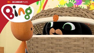 Bing – A bújócska