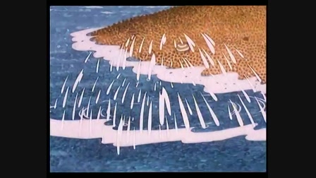 Kisvakond és a metró