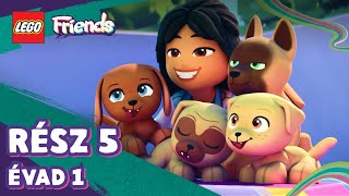 LEGO Friends – Elszabadult kutyusok
