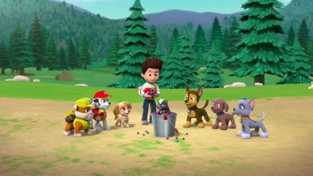 Mancs Őrjárat – A borzbűz elűz – A kutyik és a bálnamese