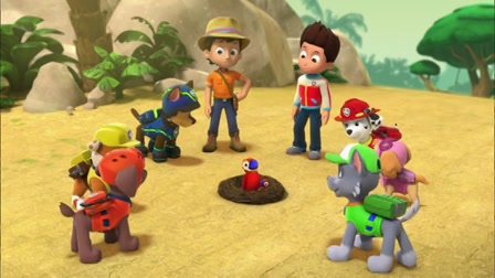 Mancs Örjárat – A papagáj megmentése