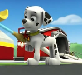 Mancs őrjárat – A tengeri teknősök megmentése