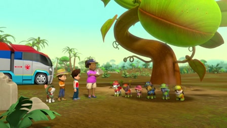 Mancs Őrjárat – Egy óriás növény megmentése