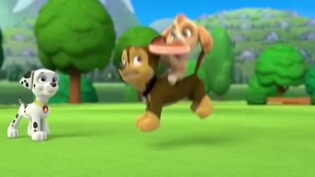 Mancs őrjárat-Egy szuperkutya megmentése