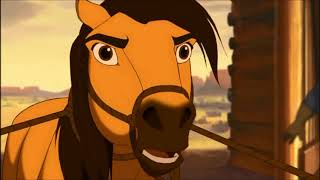 Szilaj – Sose törik be a vad ló