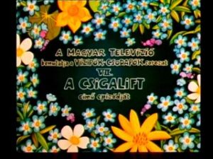 Vizipók csodapók - A csigalift