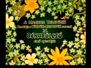 Vizipók csodapók - Békabölcső