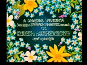 Vizipók-Csodapók - Hazudik-e a szitakötőlárva