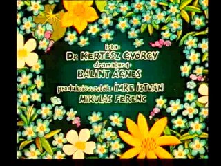 Vizipók Csodapók – Miért Ugrál a vizibolha